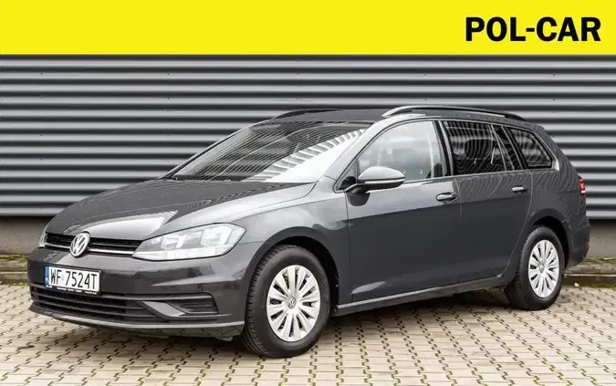 samochody osobowe Volkswagen Golf cena 54900 przebieg: 111461, rok produkcji 2019 z Wojcieszów